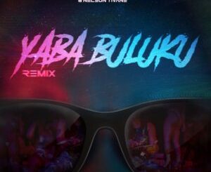Dj Tarico &Amp; Burna Boy – Yaba Buluku [Remix] (Feat. Preck &Amp; Nelson Tivane)