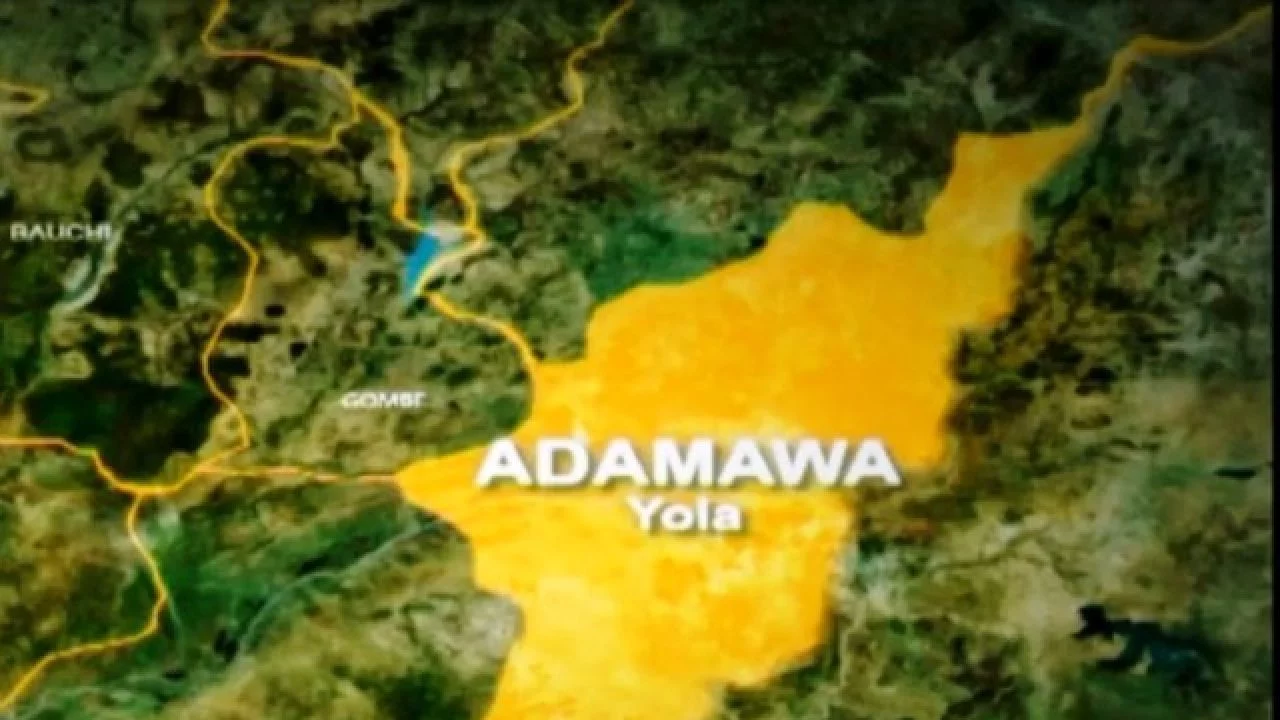 Flood Disasters Claim 51 Lives In Adamawa